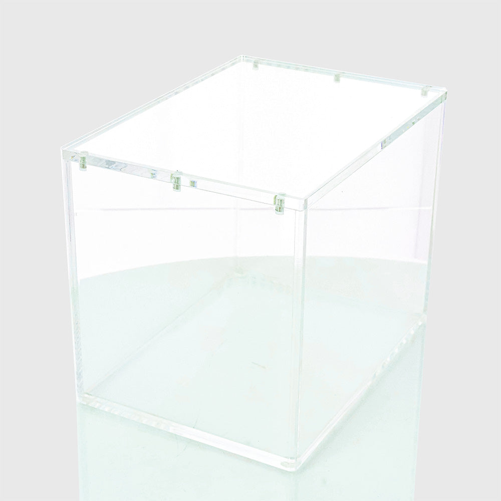 Phoenix Shield - Protection Acrylique Pokebox Pokemon