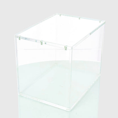 Phoenix Shield - Protection Acrylique Pokebox Pokemon